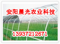  镀塑大棚骨架