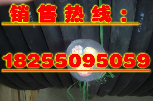 现货销售YZW橡套电缆YZW耐油电缆电缆销售中心