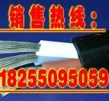 JHS防水电缆JHS潜水泵电缆防水电缆销售中心