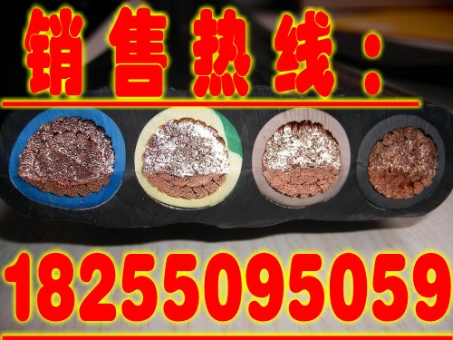 现货销售YCWB扁电缆YCWB耐油扁电缆电缆销售中心