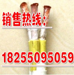 耐寒电缆YVFR耐寒电缆厂家耐寒电缆销售中心
